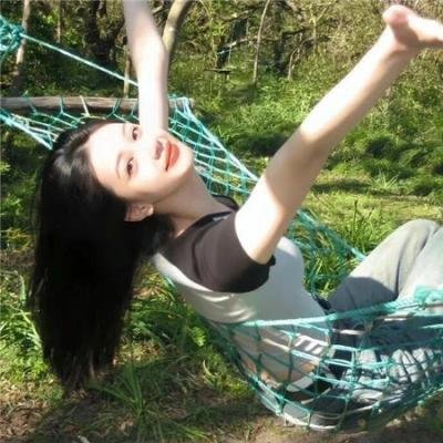 火鸟的沼泽 封面